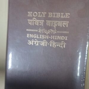 BSI English-Hindi Diglot Bible