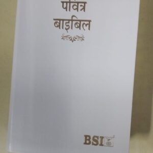 BSI English-Hindi Diglot Bible - Copy